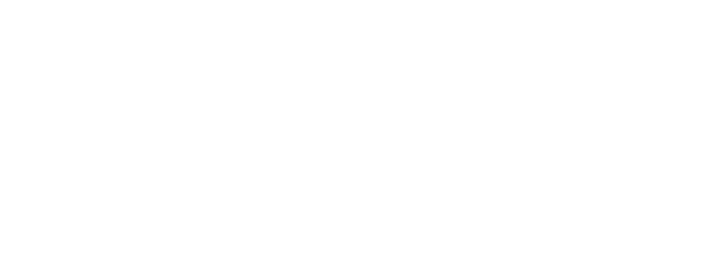 Vice Cycle